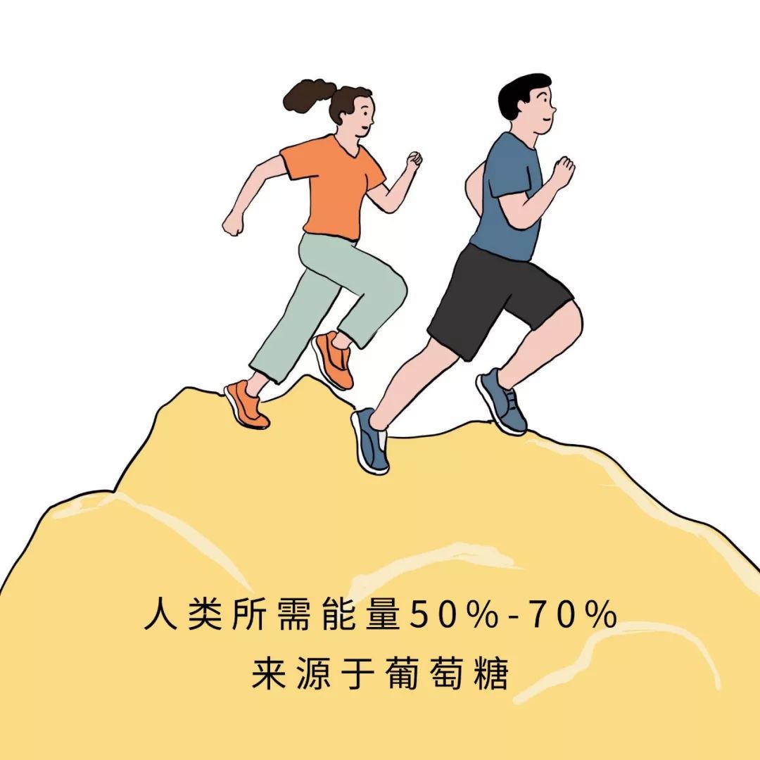 我们所需的能量50-70%来源于葡萄糖.