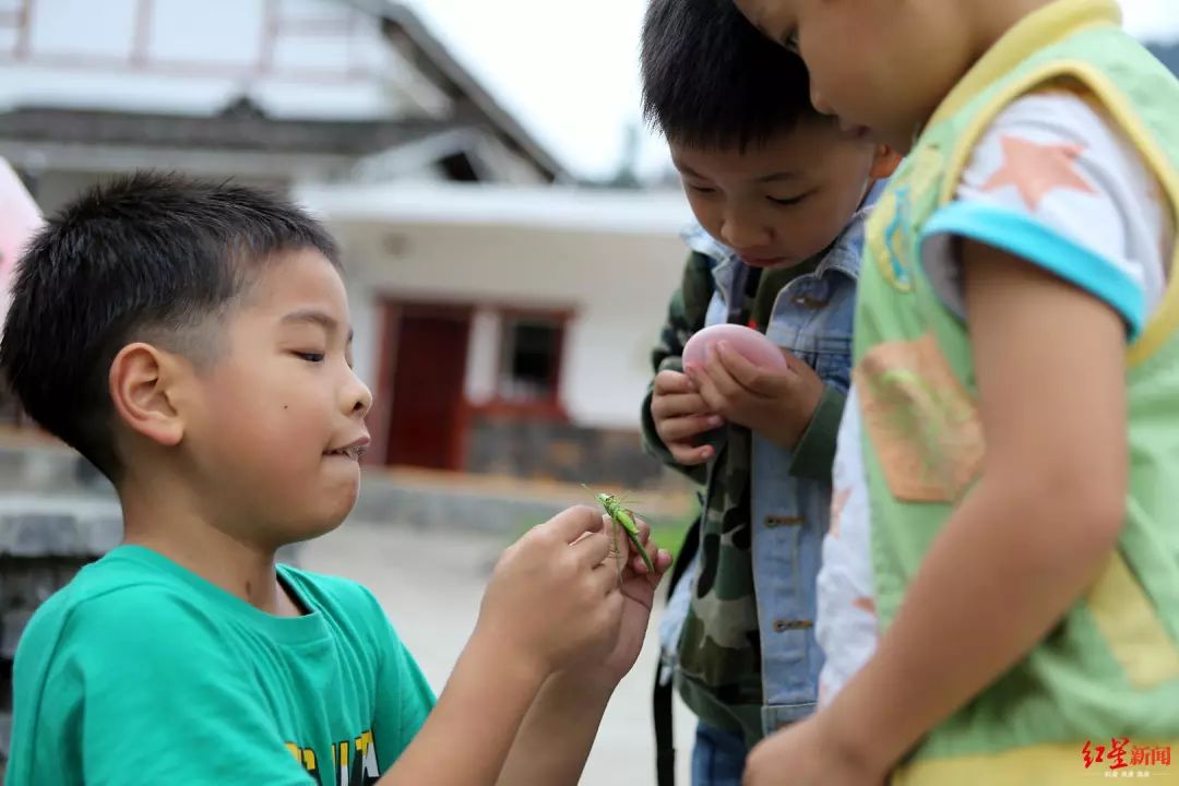 大山里的一所村小，吸引了成都、上海等大城市的孩子来读书，为什么？