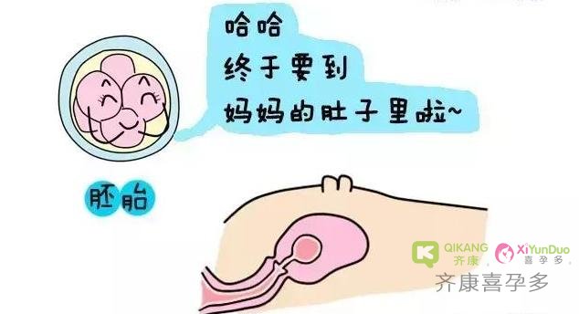 5bfacb31f22d49f48f8e91811b938137.jpeg