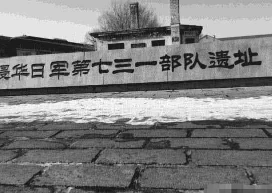 5f4347cdbb574a9381aa12e0e6c9bcf0.jpeg