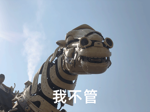 我也想低调 可是实力它不允许呀