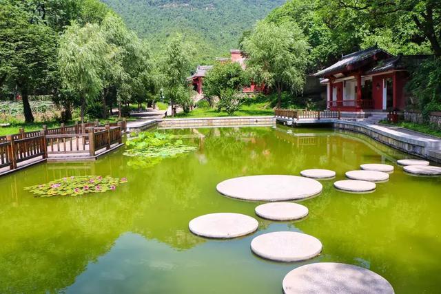 走进济南灵岩寺 探寻千年古寺的铁袈裟之谜！