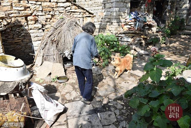 八旬老人山上采药补贴家用 住百年石头房冬暖夏凉