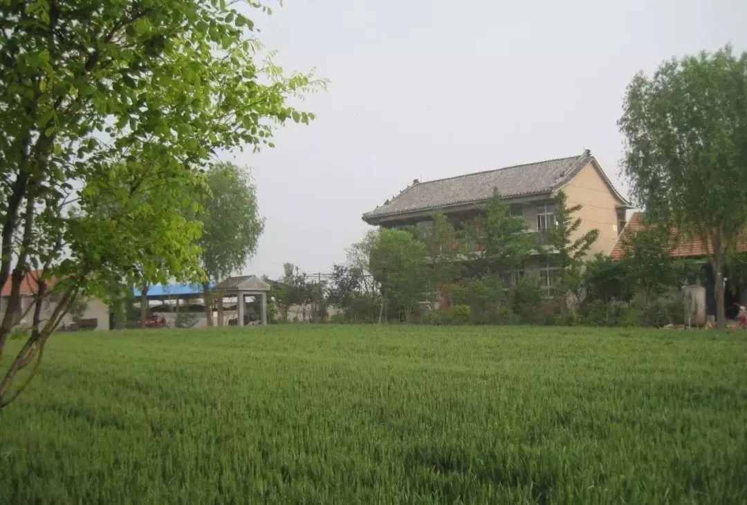 我国农业经济总量_我国经济gdp总量图(2)