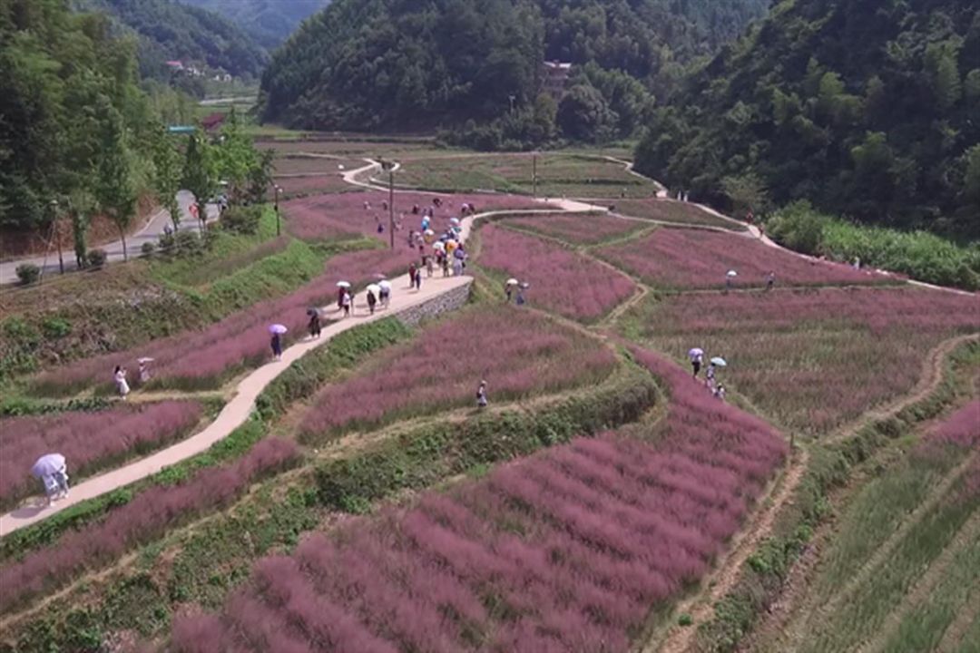 永州市双牌县茶林镇人口_永州市双牌县的照片