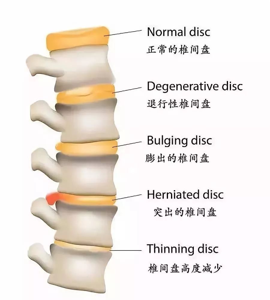 站立的原理是什么_人物速写站立