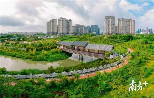 望江公园在什么区 93406ef75f8b42f983570da964b26ef2.jpeg