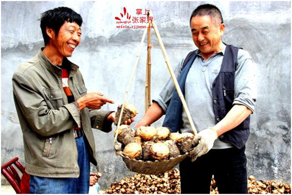 盛京棋牌走势安卓慈利县中景电子商务致力让山村群众“土货”出山