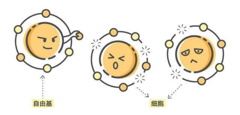 自由基的危害性 9a6372d59a724ee4a3ac574569465981.png