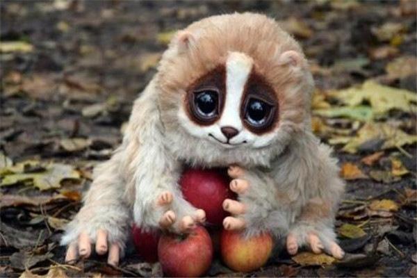 世界10大动物杀手,卖萌的懒猴很致命,河豚又可