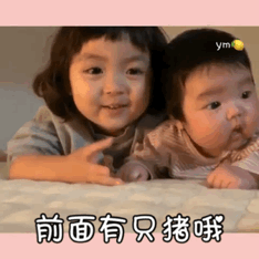 罗熙表情包动图合集|前面有只猪哦