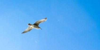 何为大学预科?与大学有何关系?对高考有何用