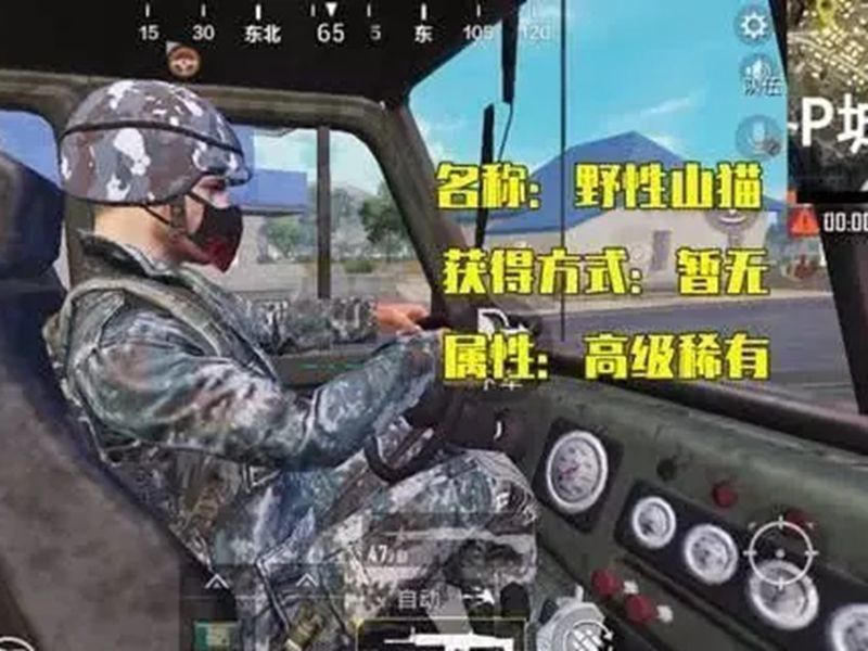 和平精英:游戏中出现过的5款"迷彩服",军绿色的很稀有