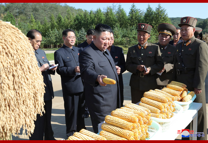 金正恩视察朝鲜人民军部队农场