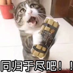 ab080c36a2b9429cad990ebf19eb0c86.jpeg