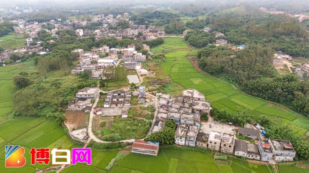 失踪第六天博白亚山小苏艺仍无音讯警犬出动后有重大发现