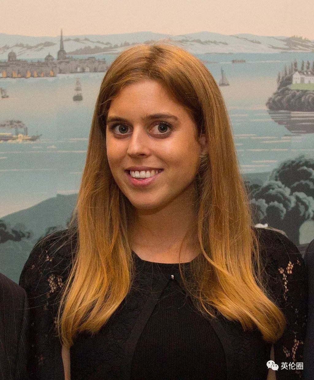 甩掉华裔未婚妻和2岁孩子，他和英国公主订婚了！_搜狐网, image size:1024x1240