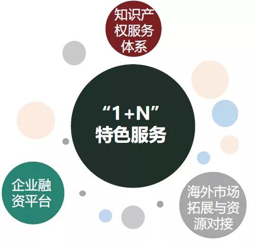 bde962977f9344d5aca2856dfabb8cb5.JPG
