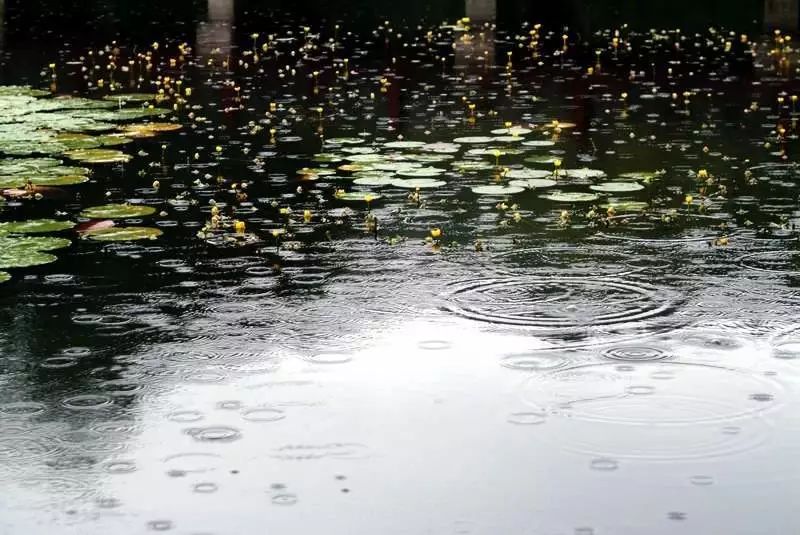 海风雨滴猜成语_雨滴卡通图片