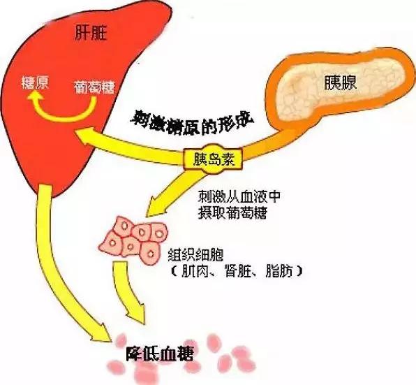 c2cdb2244fc044a2bb493c499506e16e.JPG
