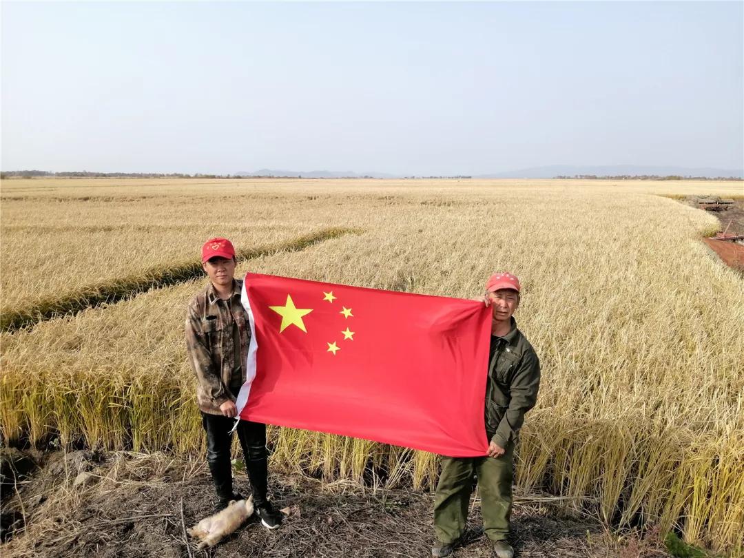 在饶河农场,我们庆祝国庆节的方式是——秋收