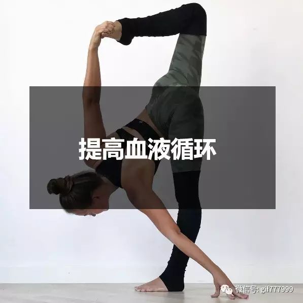 d4dccb26000549ada479753f6ebd25c7.jpeg