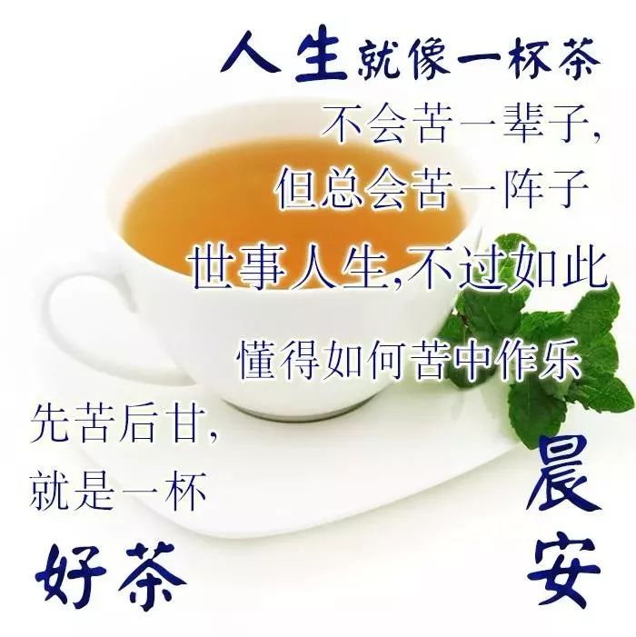 周三最新漂亮早上好动态美图鲜花带字,早晨好幸福暖心