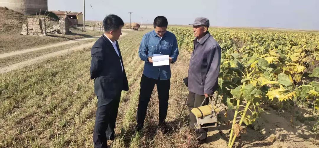 【包头市固阳县怀朔镇】怀朔镇集中排查软弱涣散村党组织