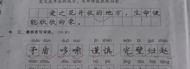 原创老师晒学生试卷，字迹堪比“印刷体”，网友：没有对比就没有伤害