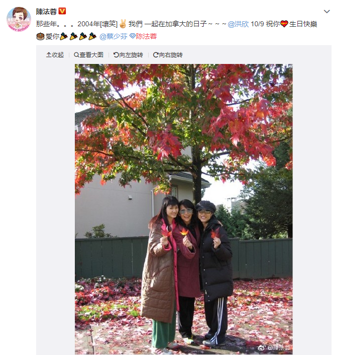 陈法蓉晒照为洪欣庆生却秒删,照片中的洪欣“又胖又土”