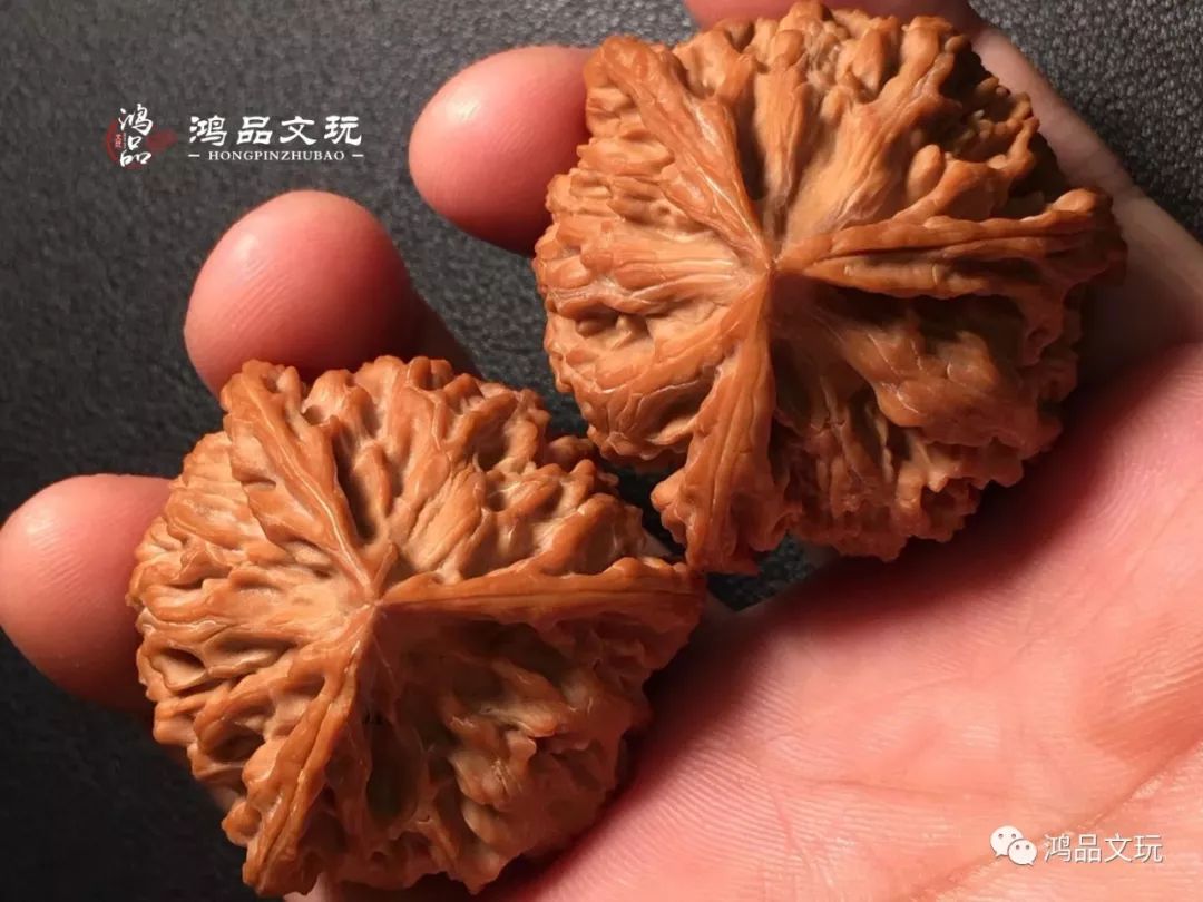 三棱的文玩核桃哪个品种好？看看这几对_搜狐网