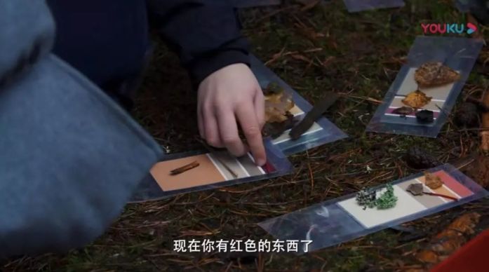 芬兰人育儿有多硬核？