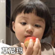 罗熙骂人表情包动图合集|笨蛋,大猪头