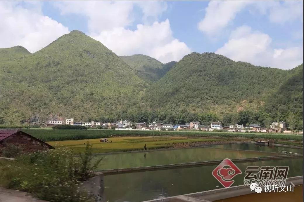 西畴县兴街镇岔河村 (雷桐苏 摄)
