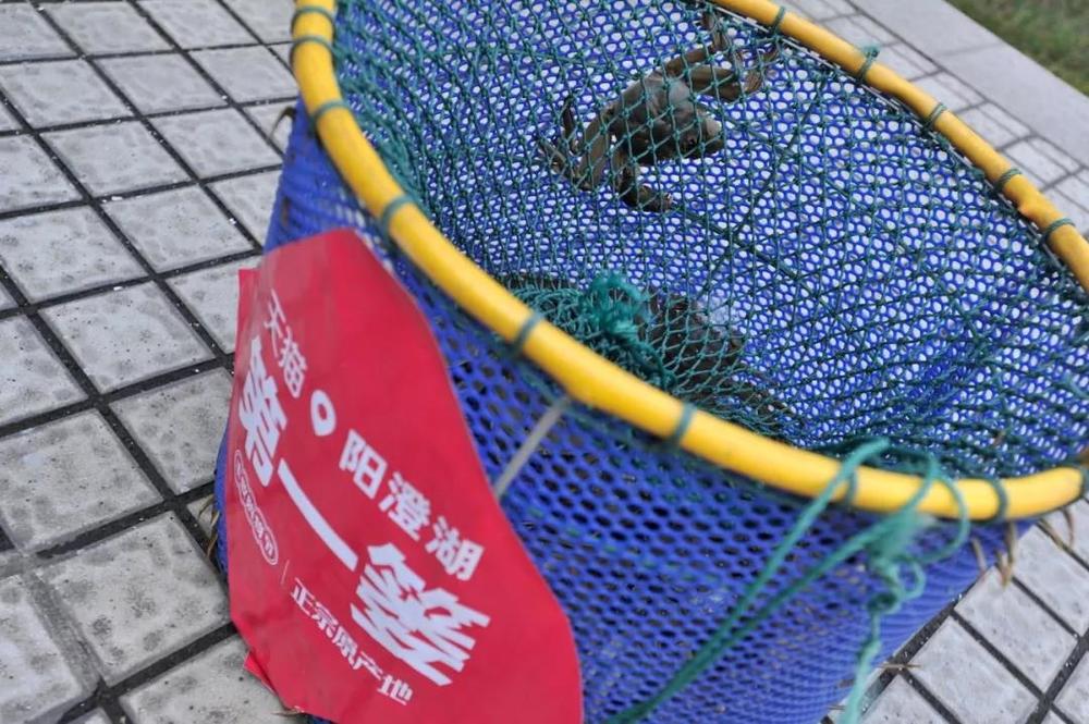 当阿里、苏宁盯上阳澄湖大闸蟹