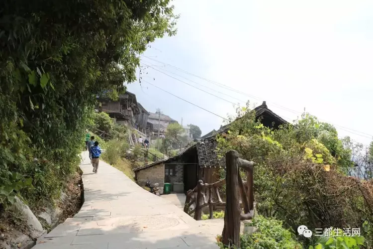 三都重阳村过重阳节野记村吃新节热闹得很斗牛跳月67