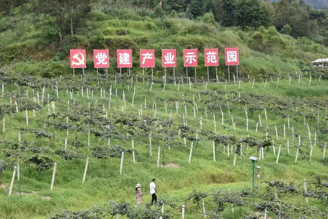 腾冲市人口多少_瑷珲腾冲人口分布线