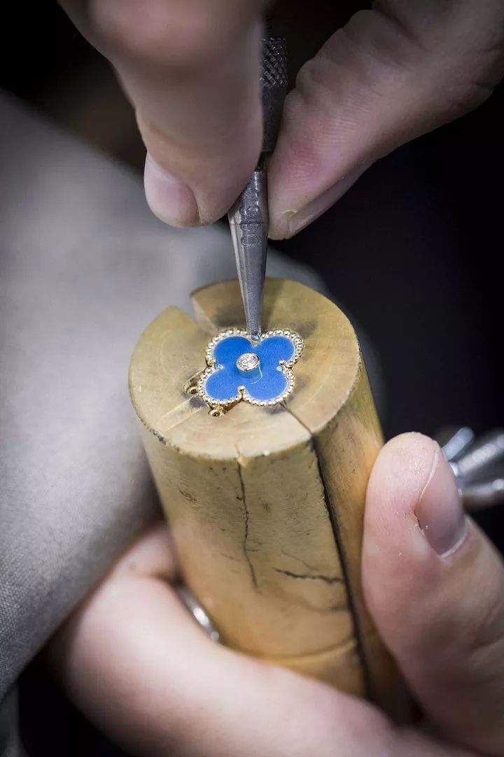 ����ű�2019��������Ҷ�ݵ�׹����!����ɫ�մɾ���