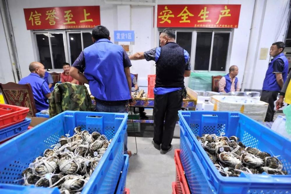当阿里、苏宁盯上阳澄湖大闸蟹