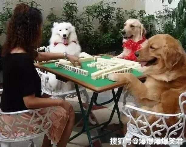爆笑段子:宋江打电话,约豹子头林冲打麻将.