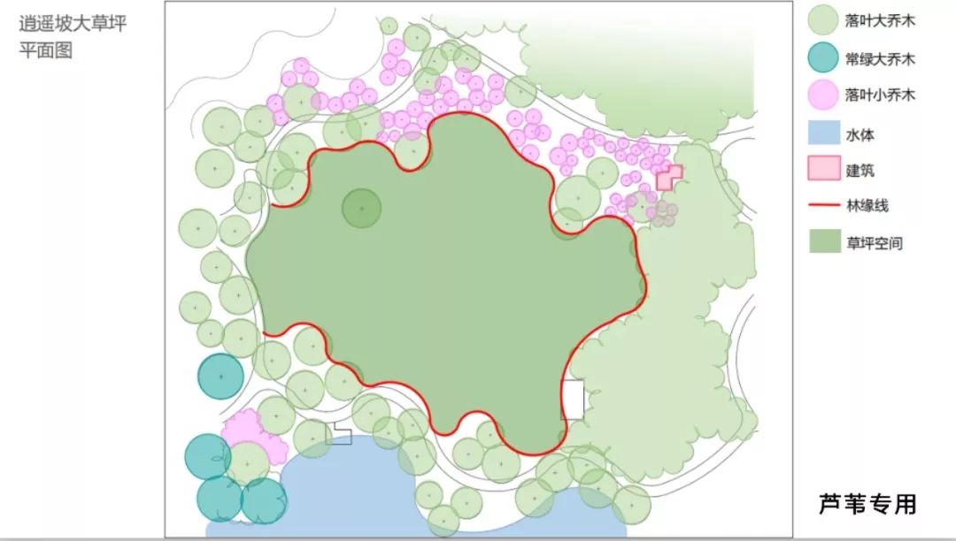 秋季游学 | 首届杭州经典植物空间研学营,开始招募!