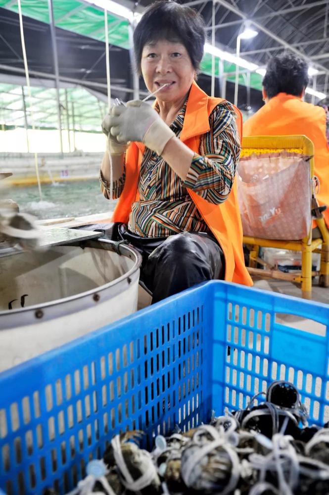 当阿里、苏宁盯上阳澄湖大闸蟹