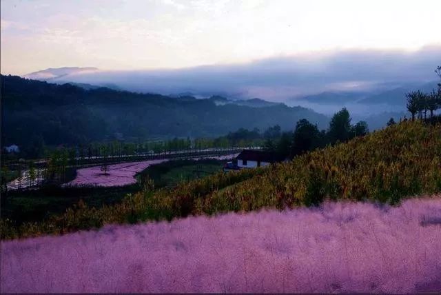 立在高山之上,雨中的小村安居在黛山之中,云蒸霞蔚.