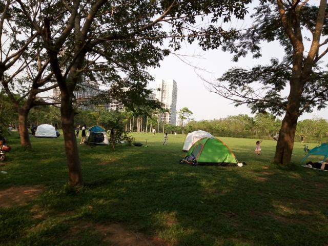 周末在深圳龙岗大运公园草坪上的实拍