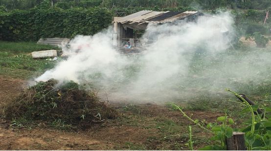 鼎湖区永安镇GDP_我们的节日 鼎湖元宵节活动连连看(3)