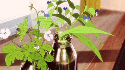 壁纸 花 盆景 盆栽 植物 桌面 400_225 gif 动态图 动图