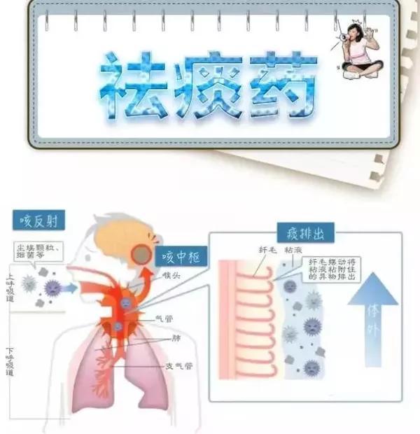 原创"痰"和那些"呼吸道疾病"有关系?来听专家怎么说