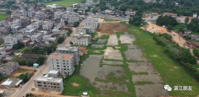 湛江雷州:52亩水田涉嫌非法占用,国土部门将立案查处_白沙镇