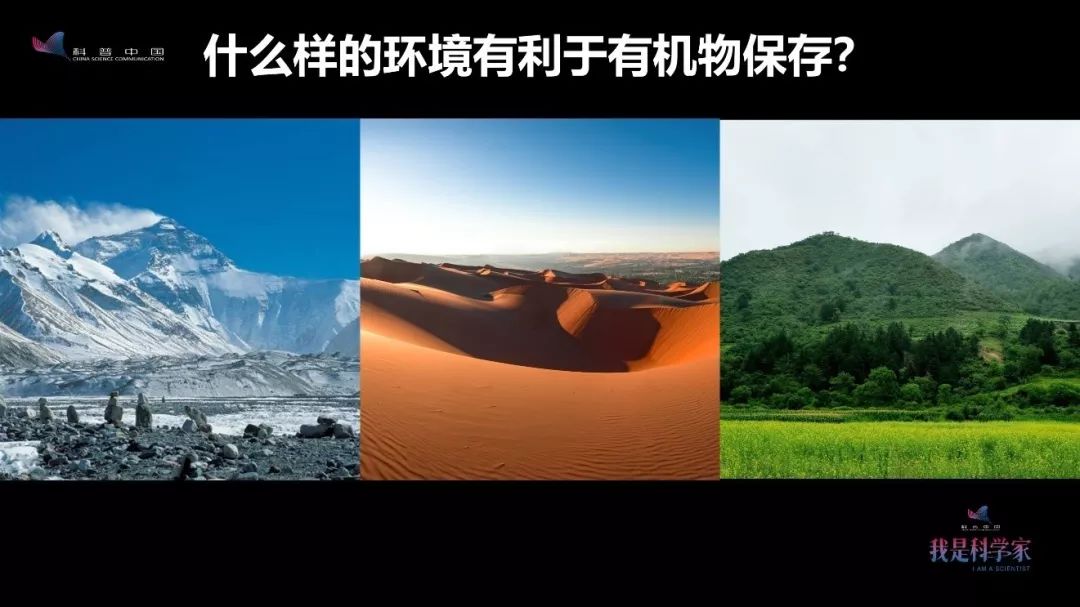 早在4000年前，古人就会画红妆、烤面包、喝酸奶了