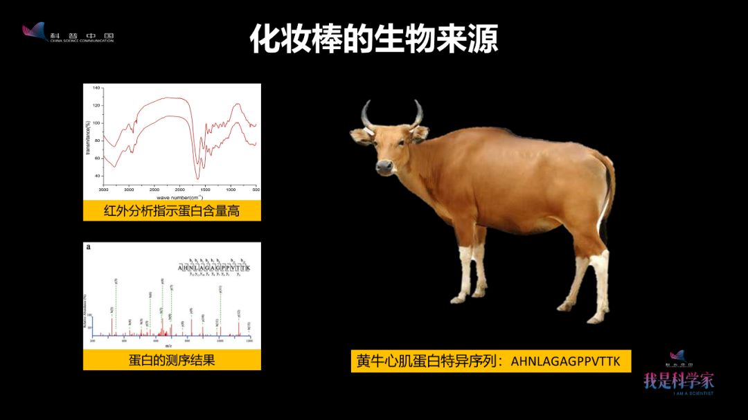 早在4000年前，古人就会画红妆、烤面包、喝酸奶了